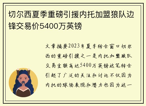 切尔西夏季重磅引援内托加盟狼队边锋交易价5400万英镑