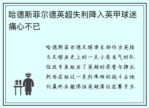 哈德斯菲尔德英超失利降入英甲球迷痛心不已